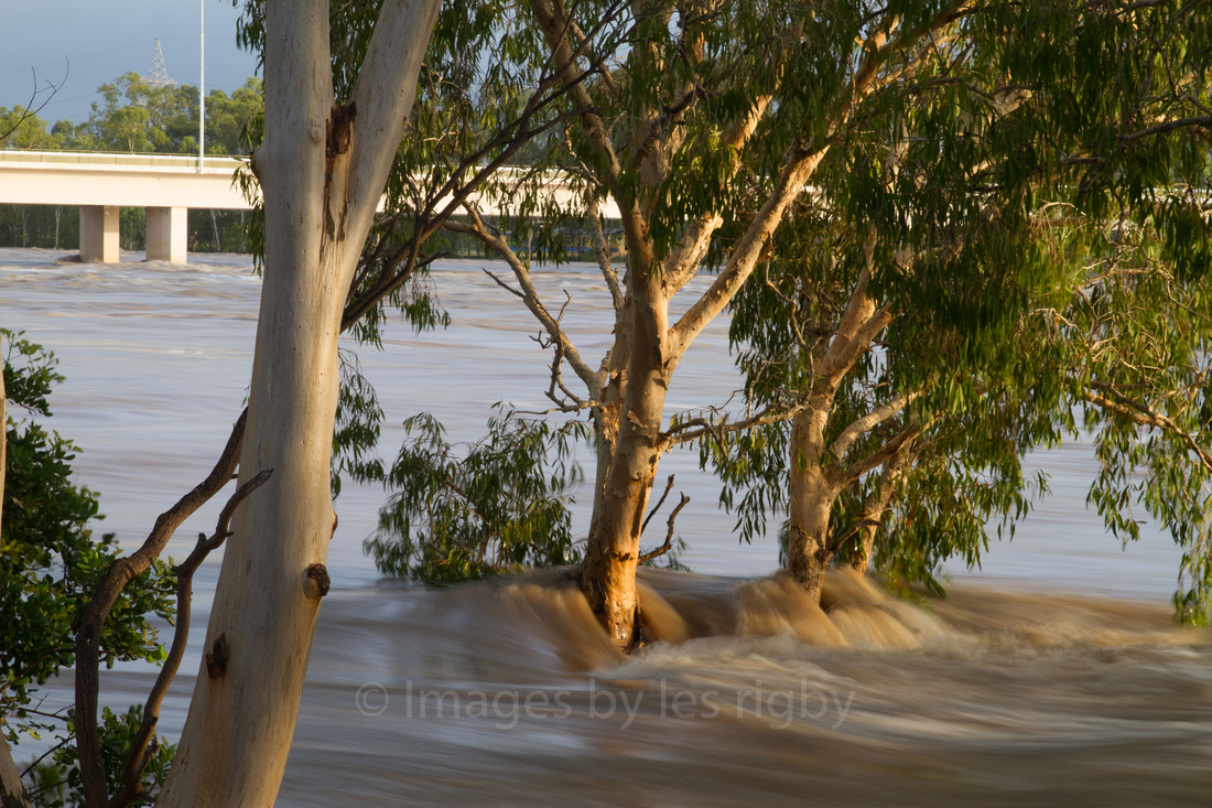 Floods Rockhampton