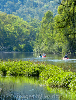 Morning Canoe Trip Gwyder River